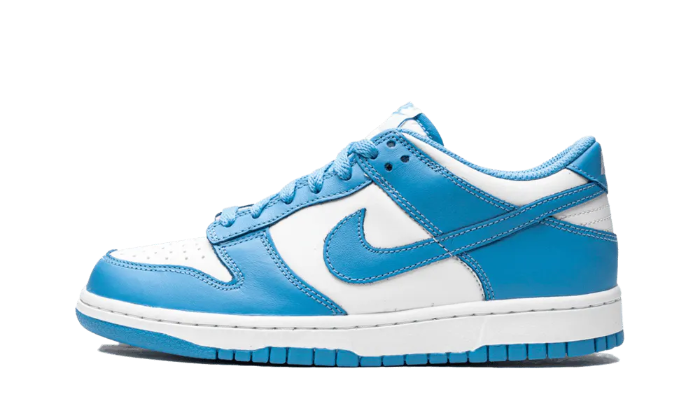 Nike Dunk Low UNC GS 2021